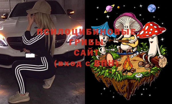 шишки Арсеньев
