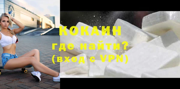 шишки Арсеньев