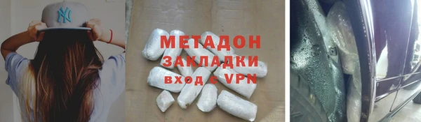 шишки Арсеньев