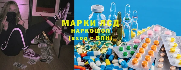 шишки Арсеньев