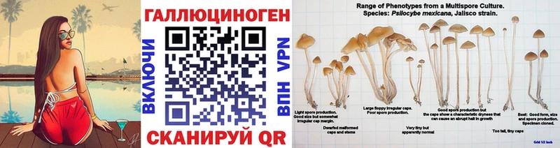продажа наркотиков  Кубинка  Галлюциногенные грибы мухоморы 